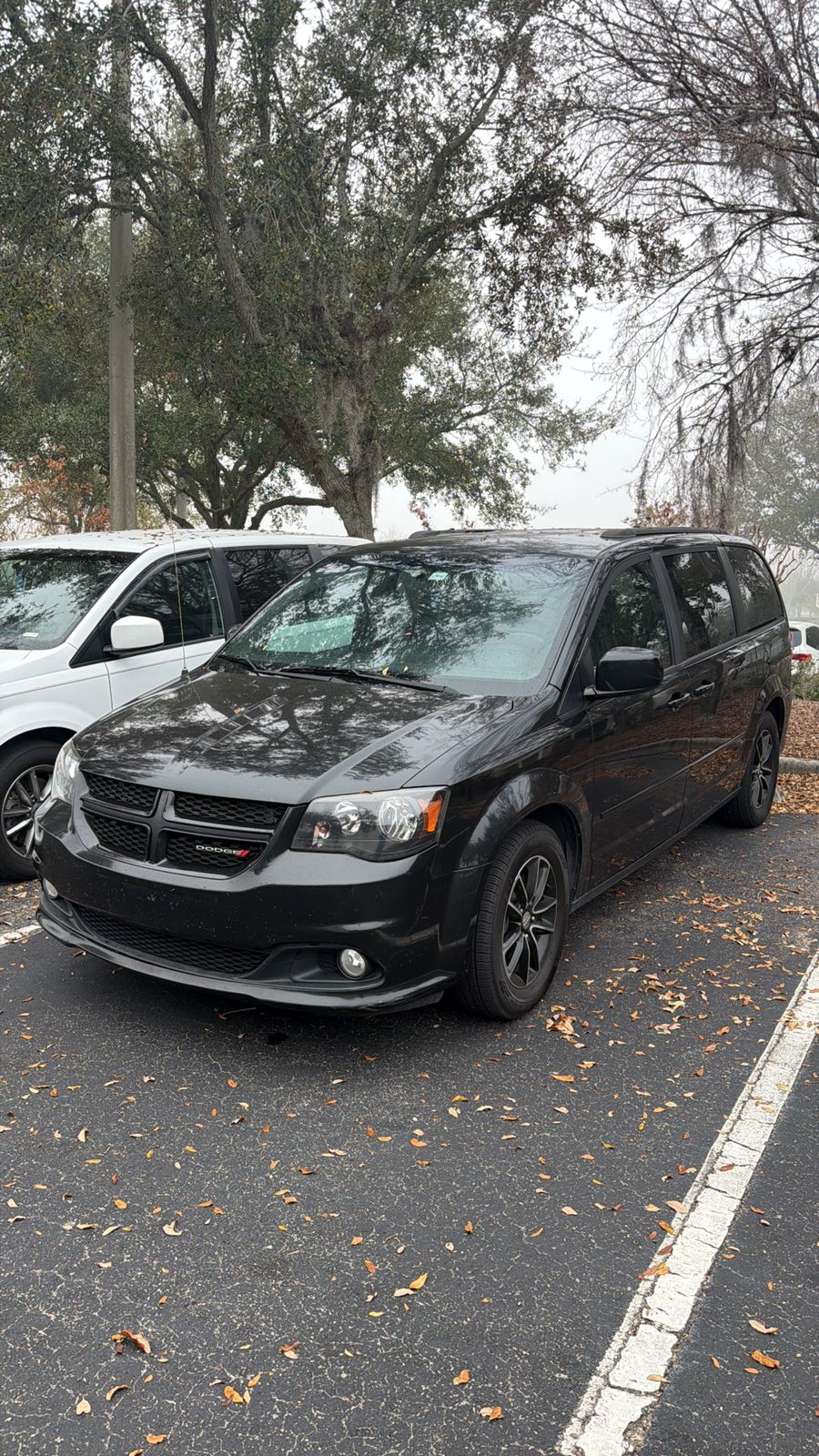 carro econômico 02